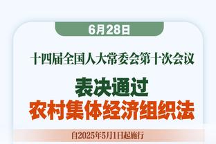 「第一视角」爽文之我在德甲当裁判！